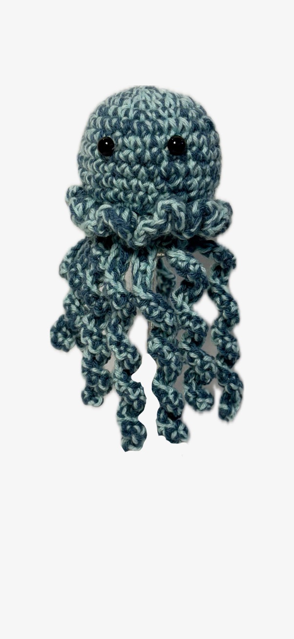 Squid