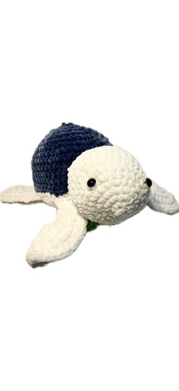 Turt