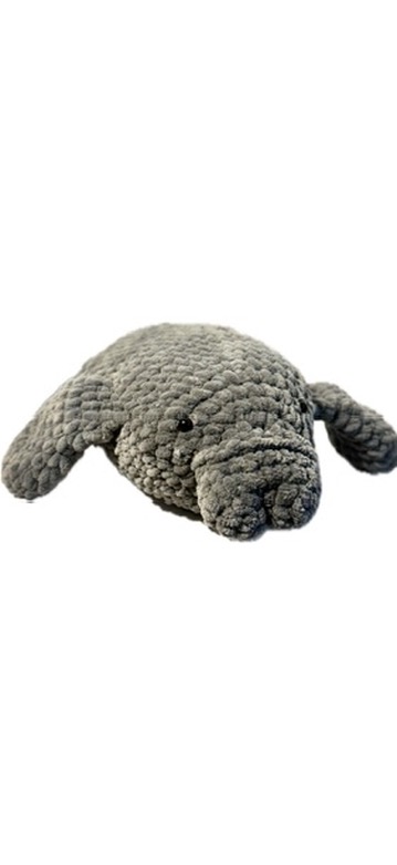 Walrus