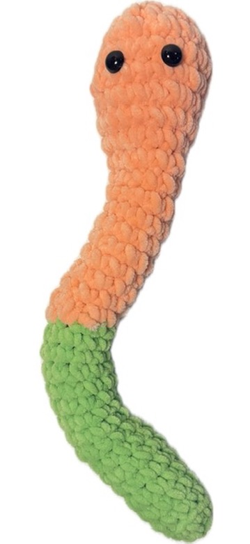 Worm